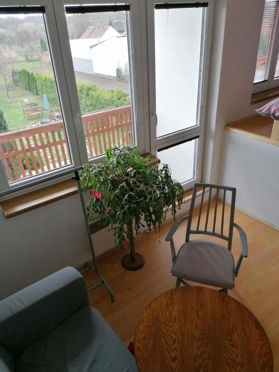 Balkón nebo terasa v ubytování Ubytování v soukromí