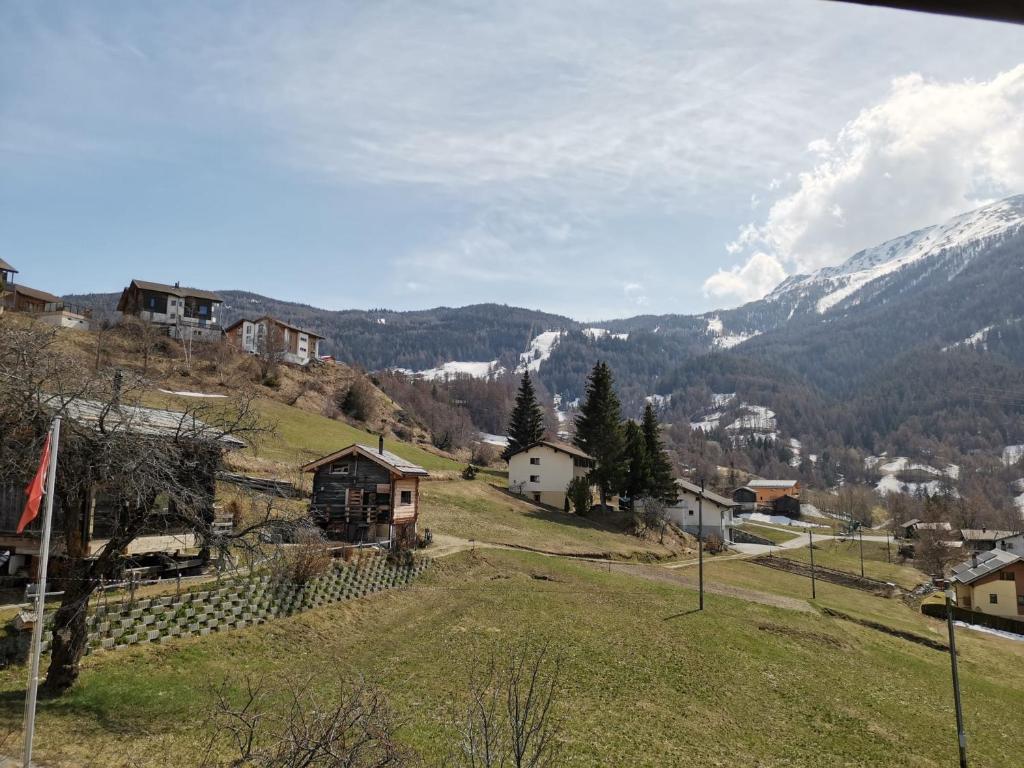 Příroda nedaleko apartmánu