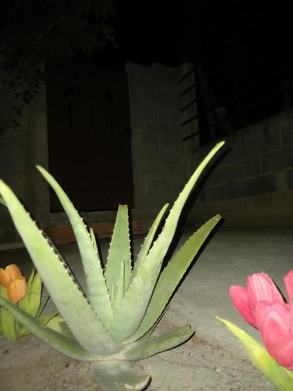  Cantinho do Paraíso