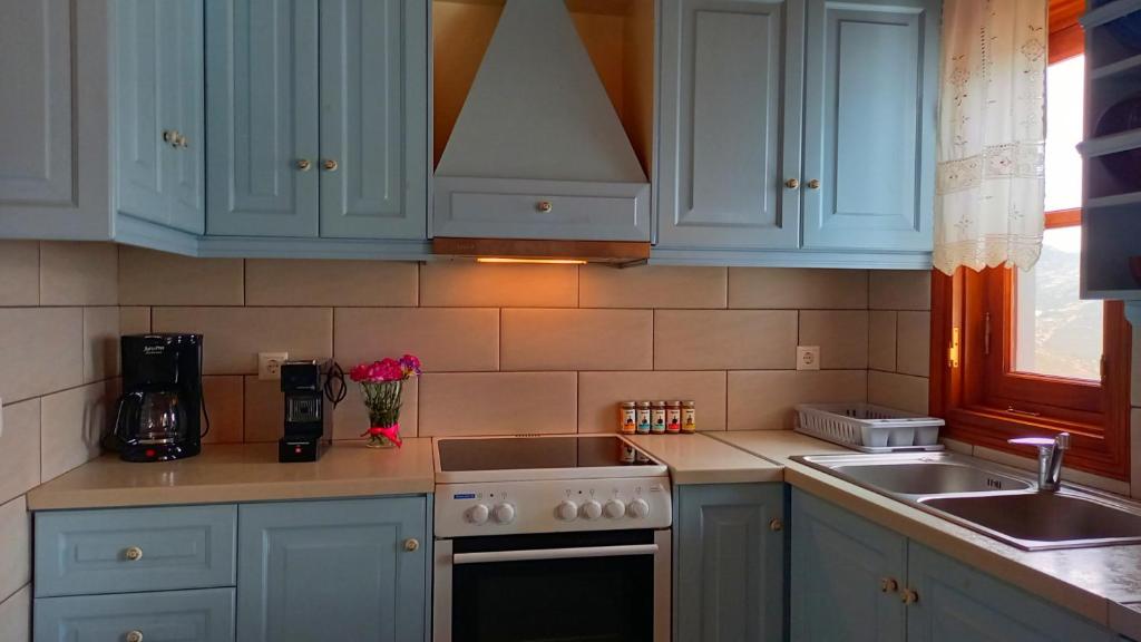 A kitchen or kitchenette at Thea House Patmos