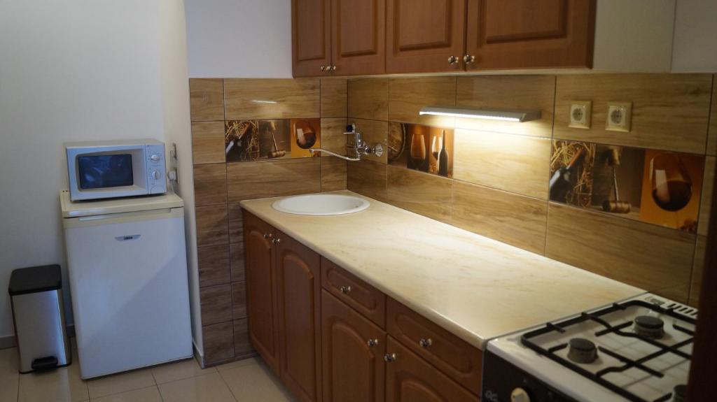 Kuchyňa alebo kuchynka v ubytovaní Apartment Sinkó - FREE GARAGE PARKING, central, 2 bedrooms 4 single beds, flexi check-out