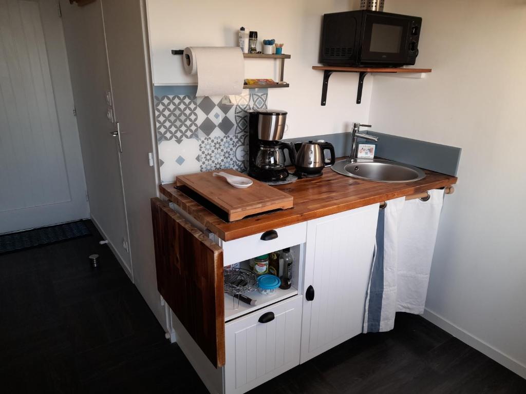 uma pequena cozinha com um lavatório e um balcão em APPARTEMENT VUE PORT CROUESTY em Arzon