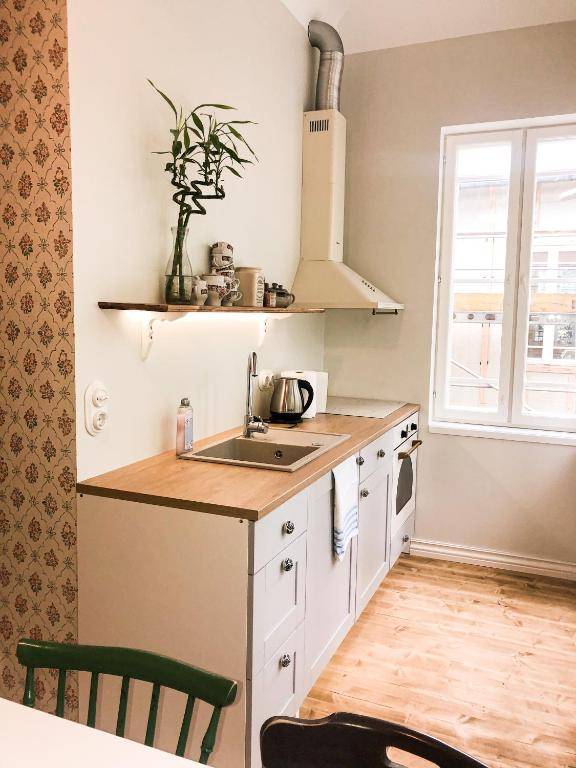Kuchyň nebo kuchyňský kout v ubytování Spacious Supeluse Apartment