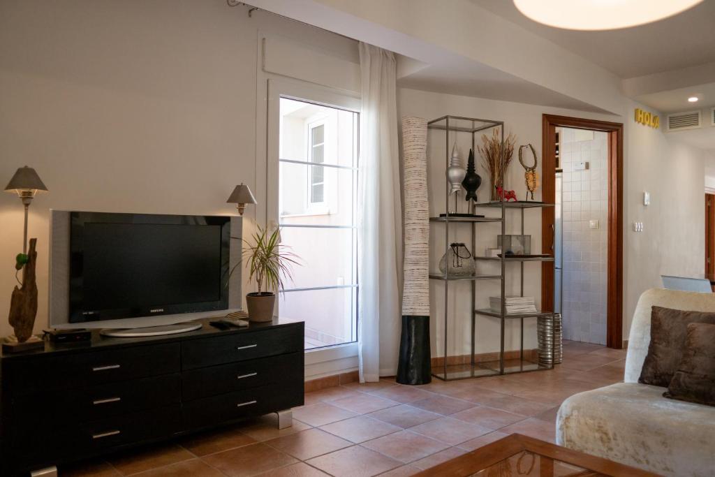 TV a/nebo společenská místnost v ubytování Apartamentos La Llum