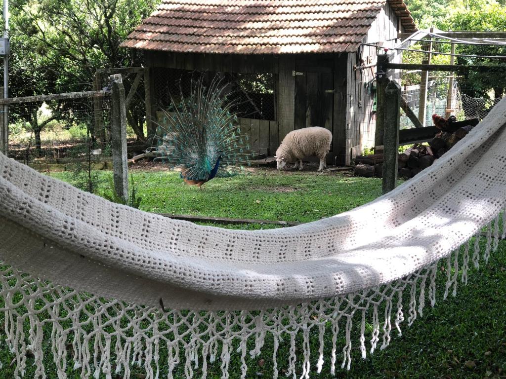  Fazenda Angelin