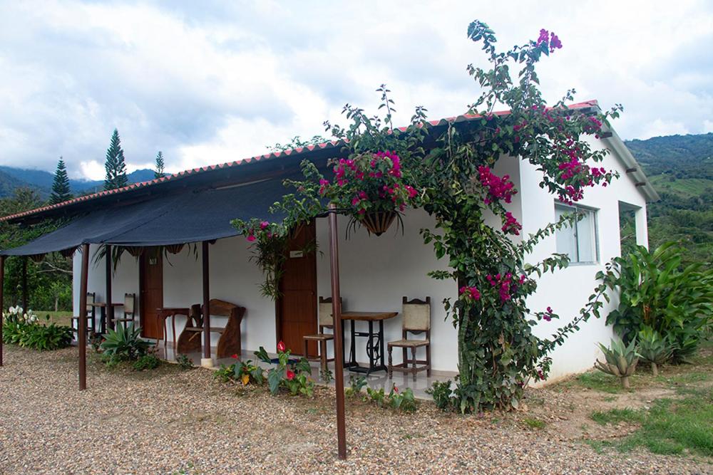 Pokrajina v okolici of country house