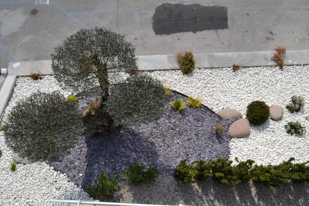 einen Blick über einen Garten mit einem Baum und Felsen in der Unterkunft aura AR holiday-home in Peschiera del Garda