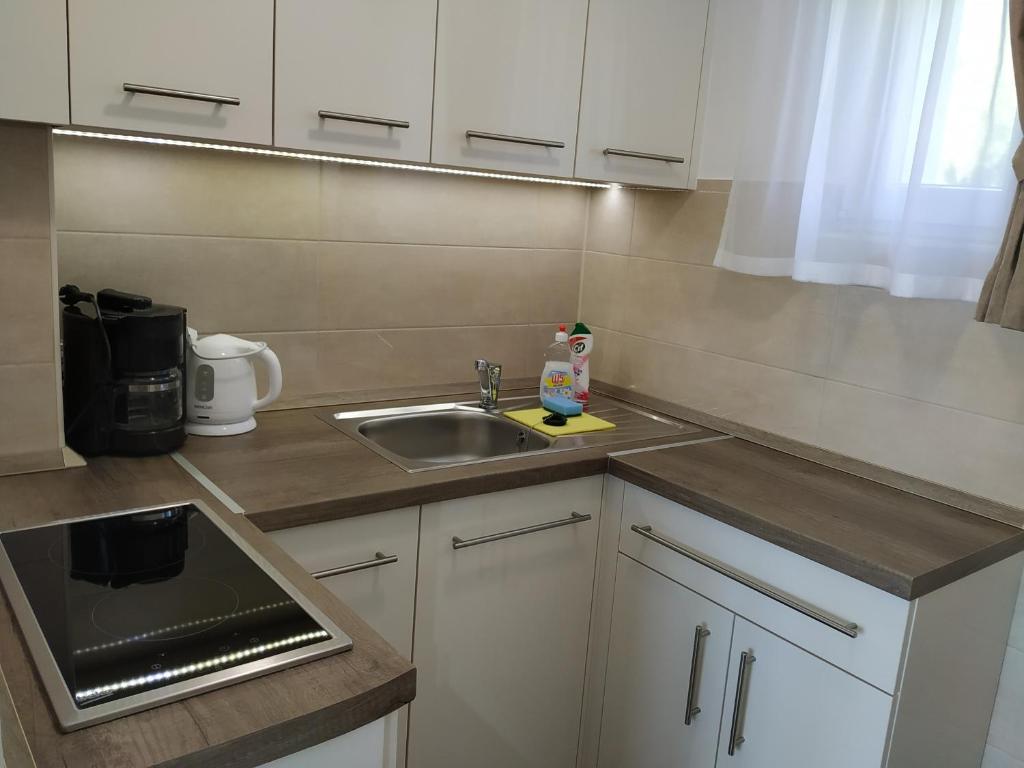 A kitchen or kitchenette at Mogyorósi Apartman