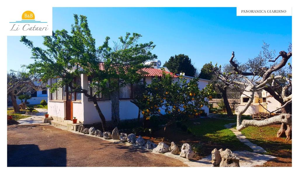 A garden outside Li Catauri