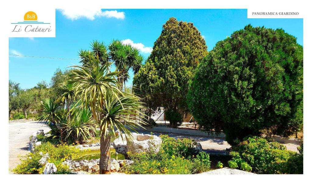 A garden outside Li Catauri