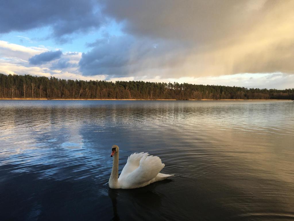 Wikno 3 Woda i Las - Wohnung Mit Lake View