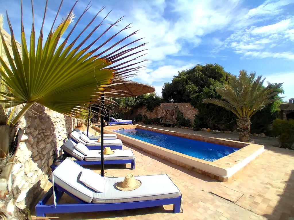 Ghazoua的住宿－Dar Mayssoun，一组躺椅和一个游泳池