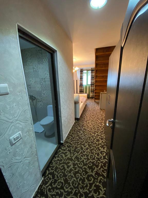 a bathroom with a toilet and a glass door at Hanu Satului in Constanţa