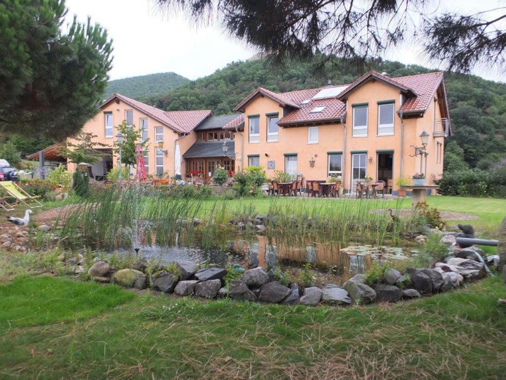 Příroda nedaleko bed and breakfast