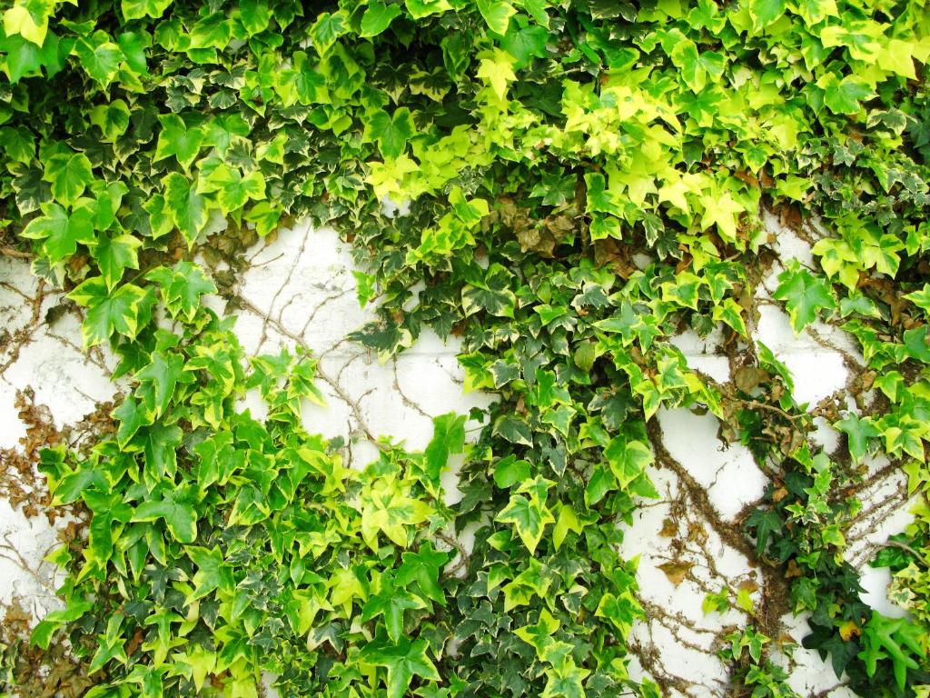 Hotel Trash Deluxe - Resim 30