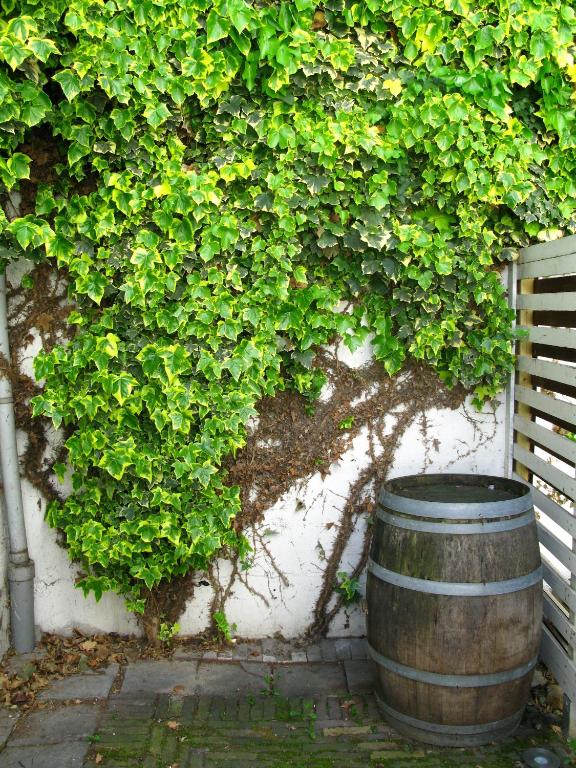 Hotel Trash Deluxe - Resim 8