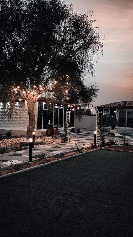 a tree with lights in front of a building at Seven Elements Resort in Ras al Khaimah