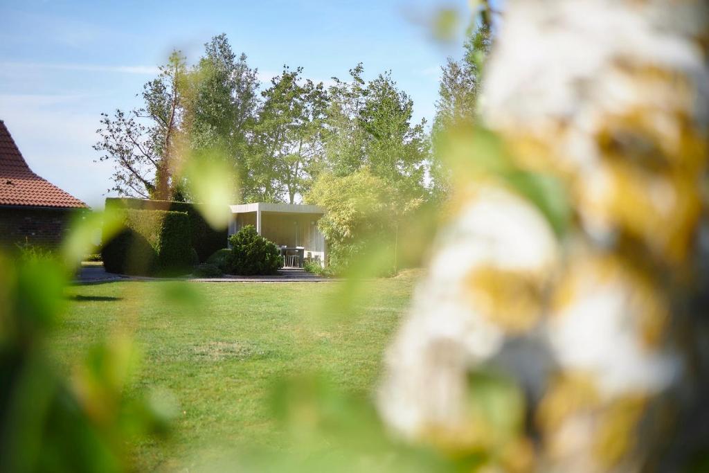 Zahrada ubytování Casa Sequoia