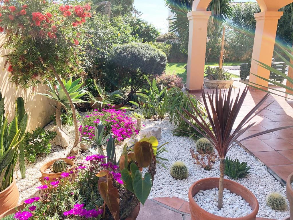 Zahrada ubytování Beach Villa Costanera in Marbella