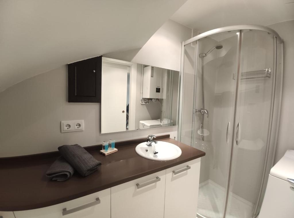 Koupelna v ubytování Apartamento Goxoa
