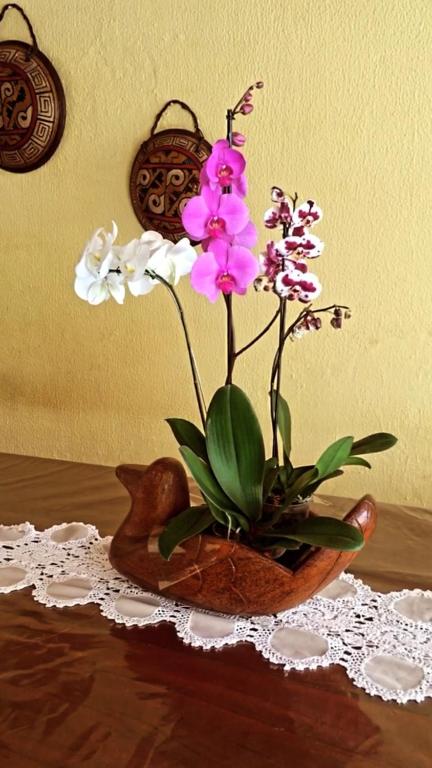  CasaMar Maragogi Residence