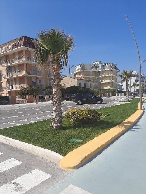 palma po stronie ulicy w obiekcie Sul MARE w mieście Civitanova Marche