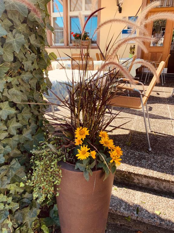 Hotel Rössli - Resim 24