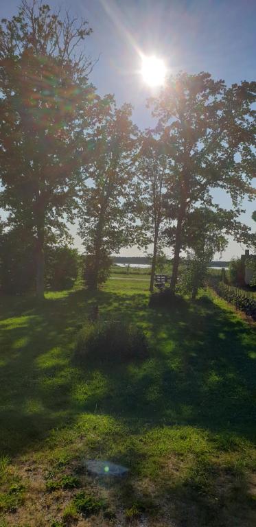 un campo con árboles y el sol en el cielo en Härlig stuga vid havet, en Burgsvik