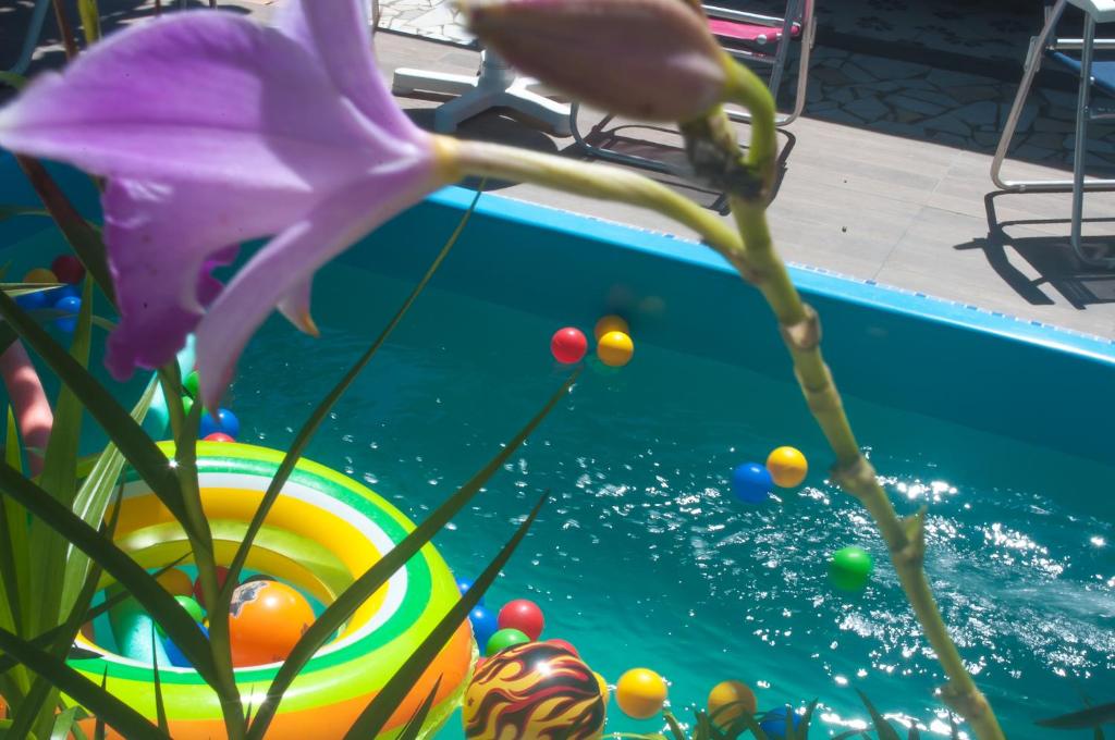 - une piscine avec un tas de balles dans l'établissement Pousada Mar Aberto Pinheira, à Pinheira