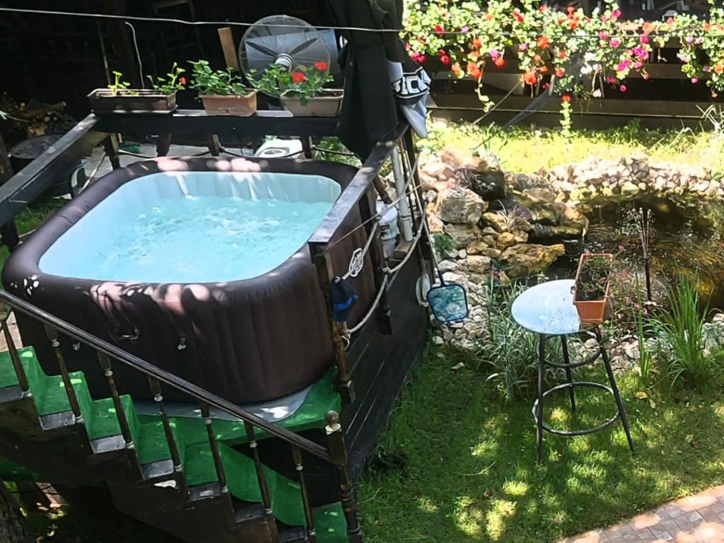 a hot tub in a garden with plants and a chair at Vila Ralf in Cornu de Jos