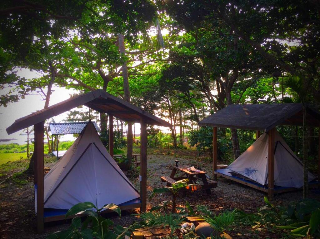 Příroda nedaleko luxury tent