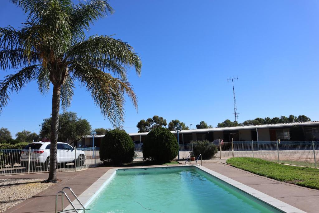 a swimming pool with a palm tree in front of a building at Capri Motel in Balranald