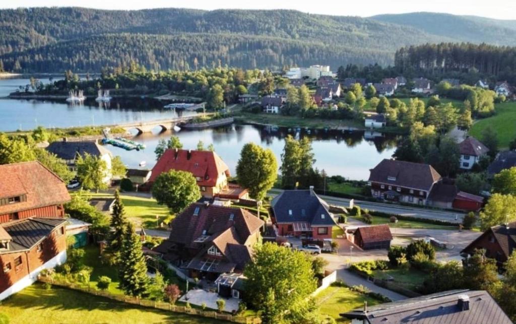 an aerial view of a small town next to a lake at Landhaus-Vintage, Fe-Wo Apartment 3 in Schluchsee