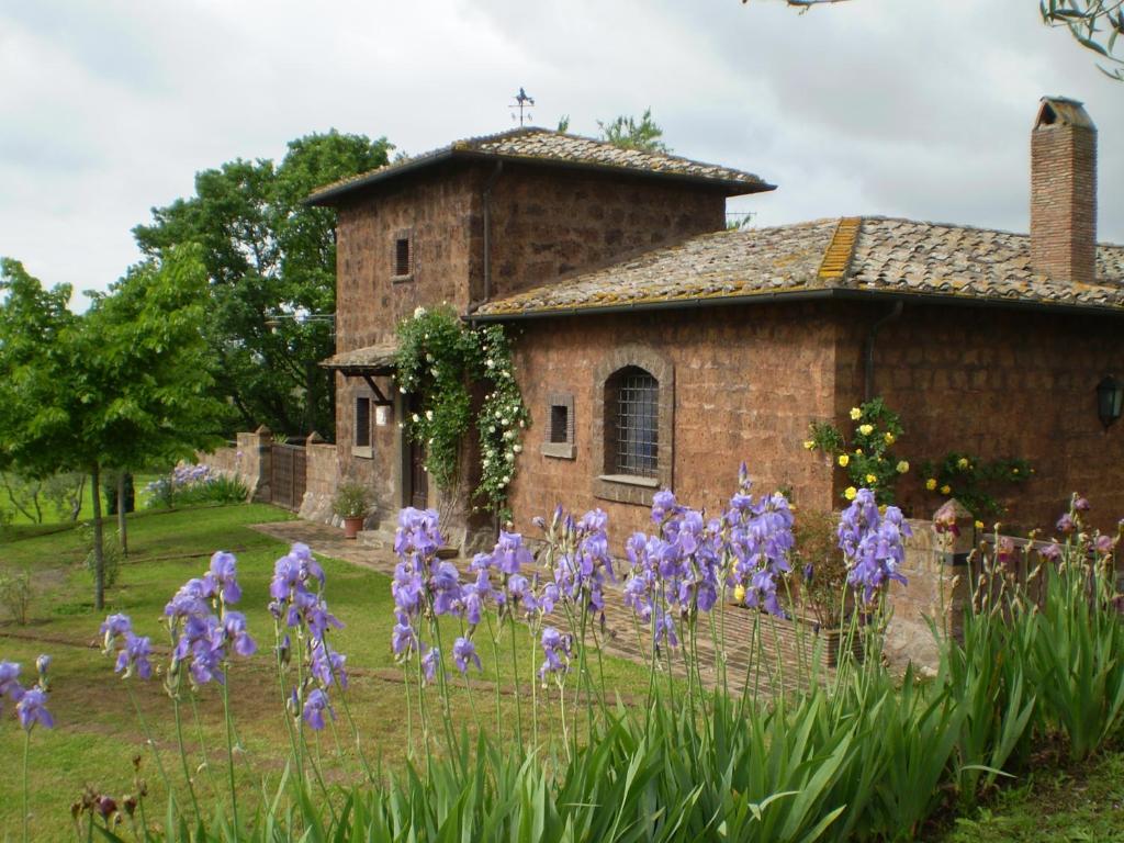 een groep paarse irissen voor een gebouw bij Casale di Befania in Vetralla