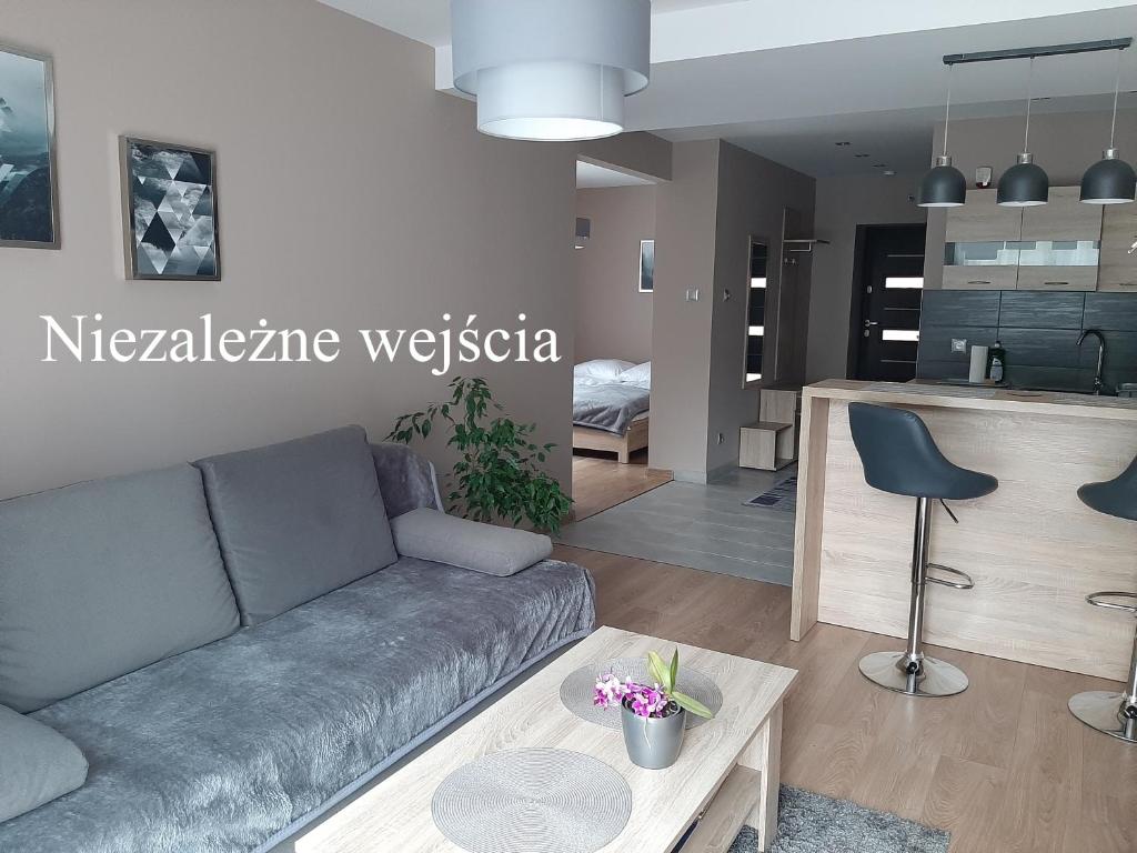 a living room with a couch and a table at Apartamenty ,,Trzy Sosny'' Rymanów-Zdrój in Rymanów-Zdrój