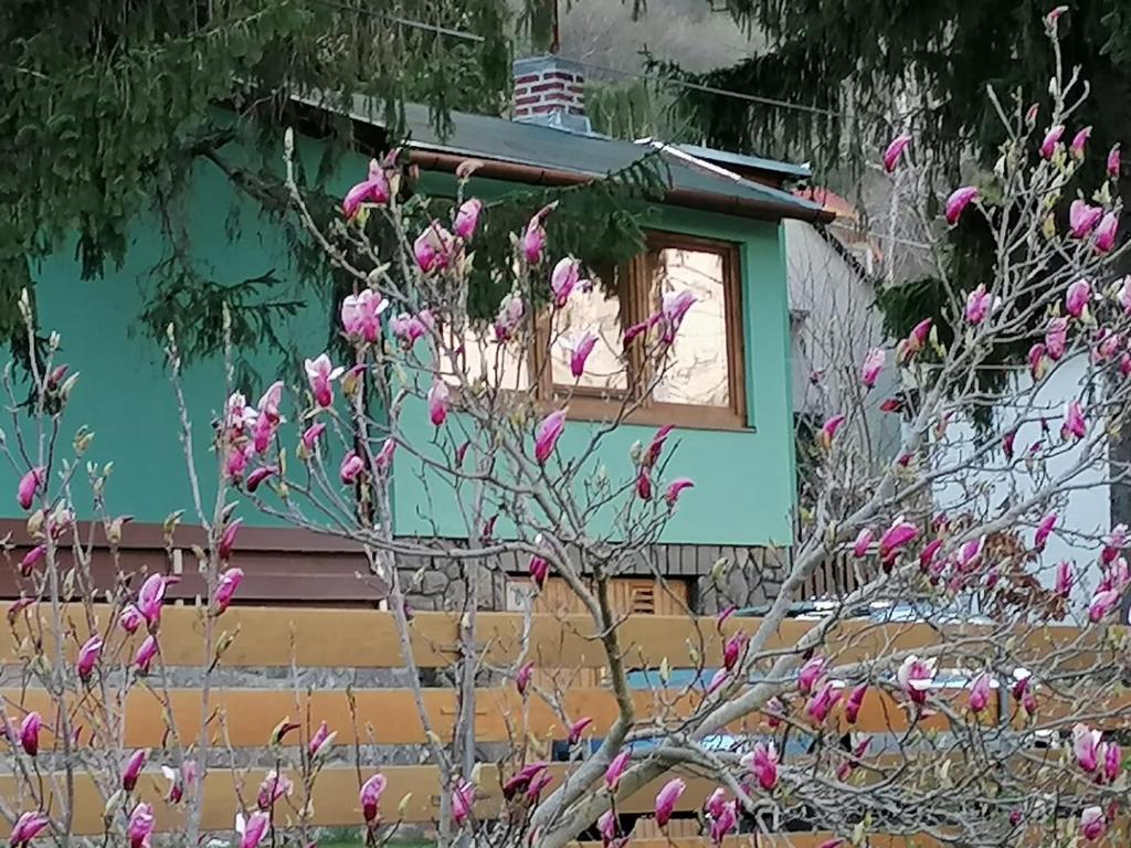 a house with pink flowers in front of a window at SUNSHINE house in Orfű