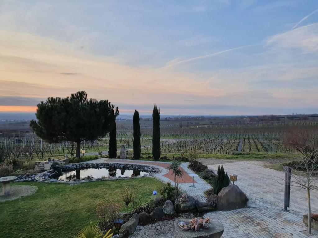 Zahrada ubytování Weinhaus Paradies