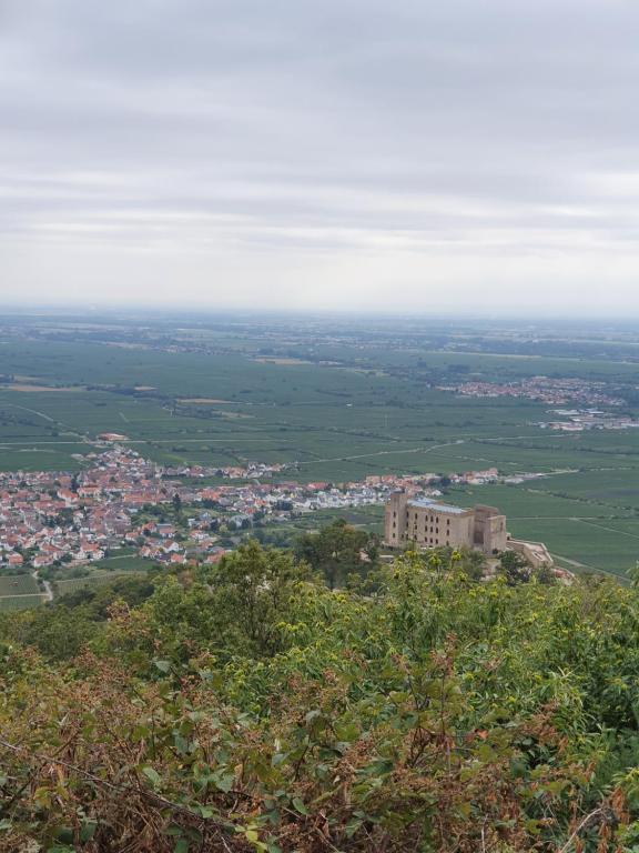 Příroda nedaleko bed and breakfast