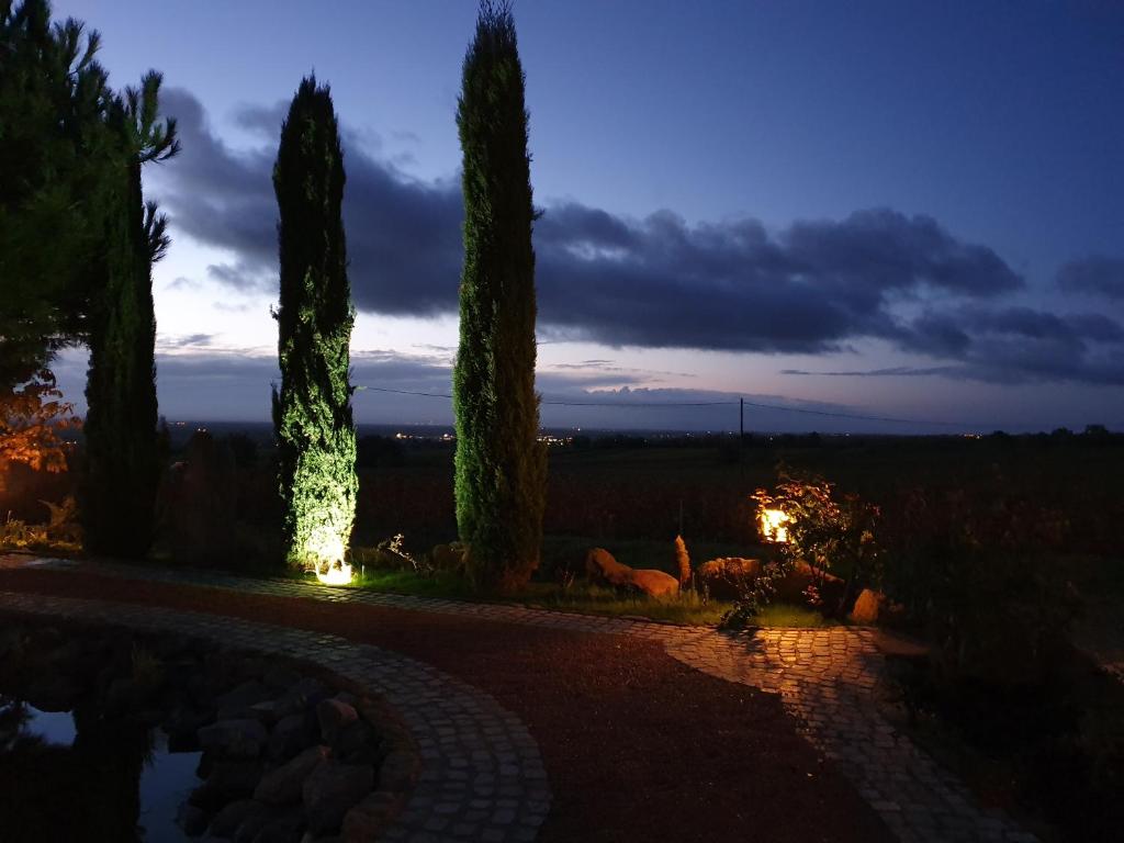 Zahrada ubytování Weinhaus Paradies