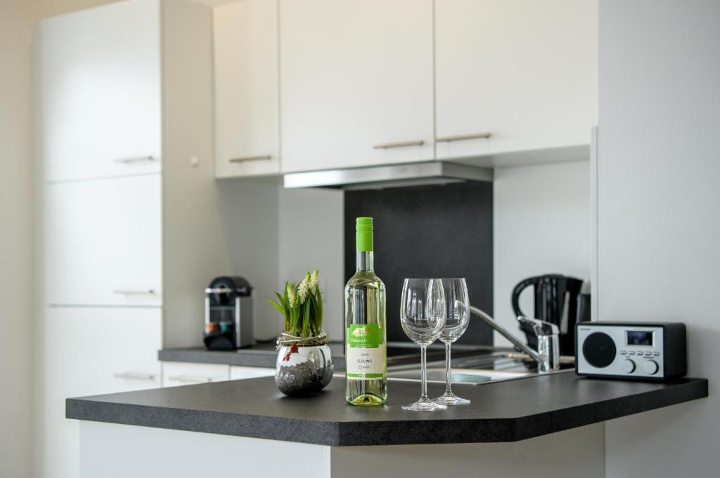 Kuchyň nebo kuchyňský kout v ubytování Villa Sonnenblick