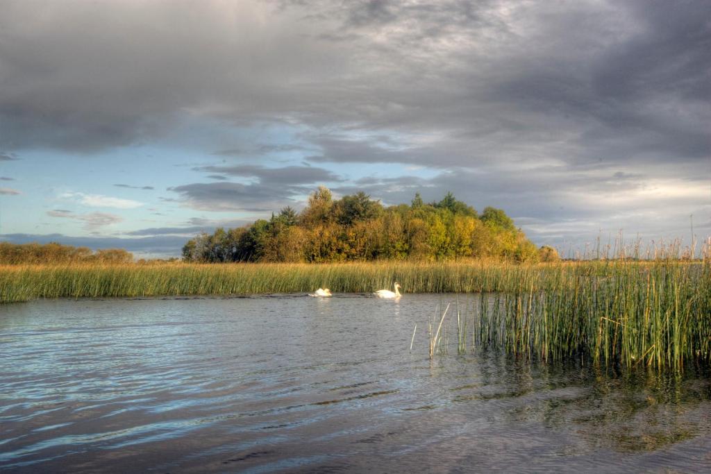 Clonmoylan - Butterfly Cottage