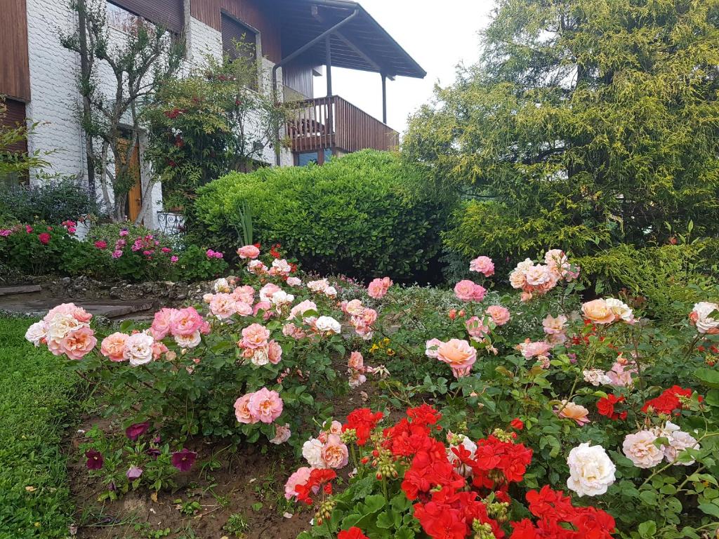 Zahrada ubytování B&B Fontanella