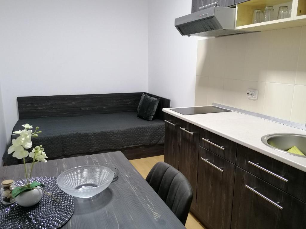 Kuchyň nebo kuchyňský kout v ubytování Apartmani Nana Sokobanja