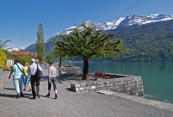 Un paisaje natural cerca de la casa de vacaciones