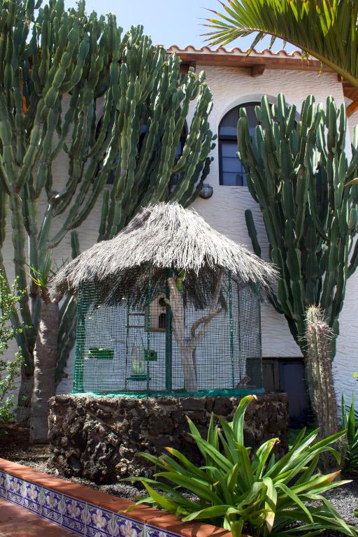 Vonkajšia záhrada v ubytovaní Miramar Boutique Apartments ADULTS ONLY CORRALEJO