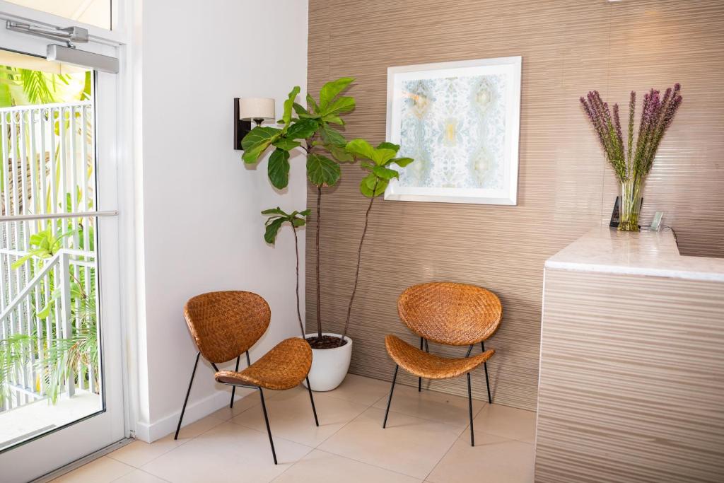 Fotografie z fotogalerie ubytování Riviere South Beach Hotel v Miami Beach