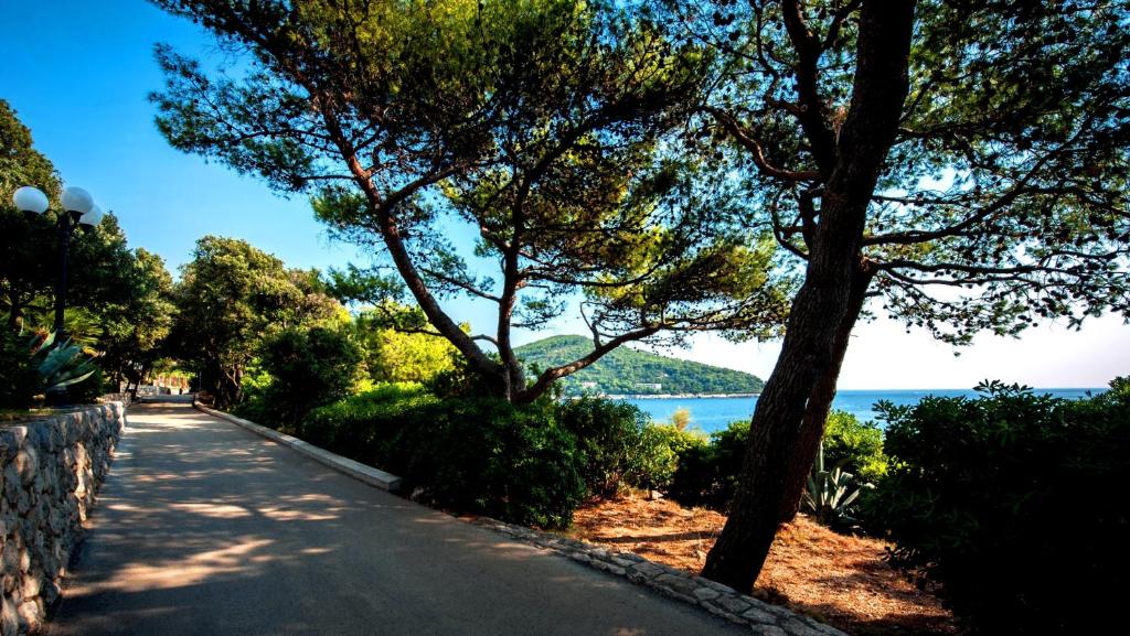 a road with trees on the side of a lake at Royal Neptun Hotel in Dubrovnik