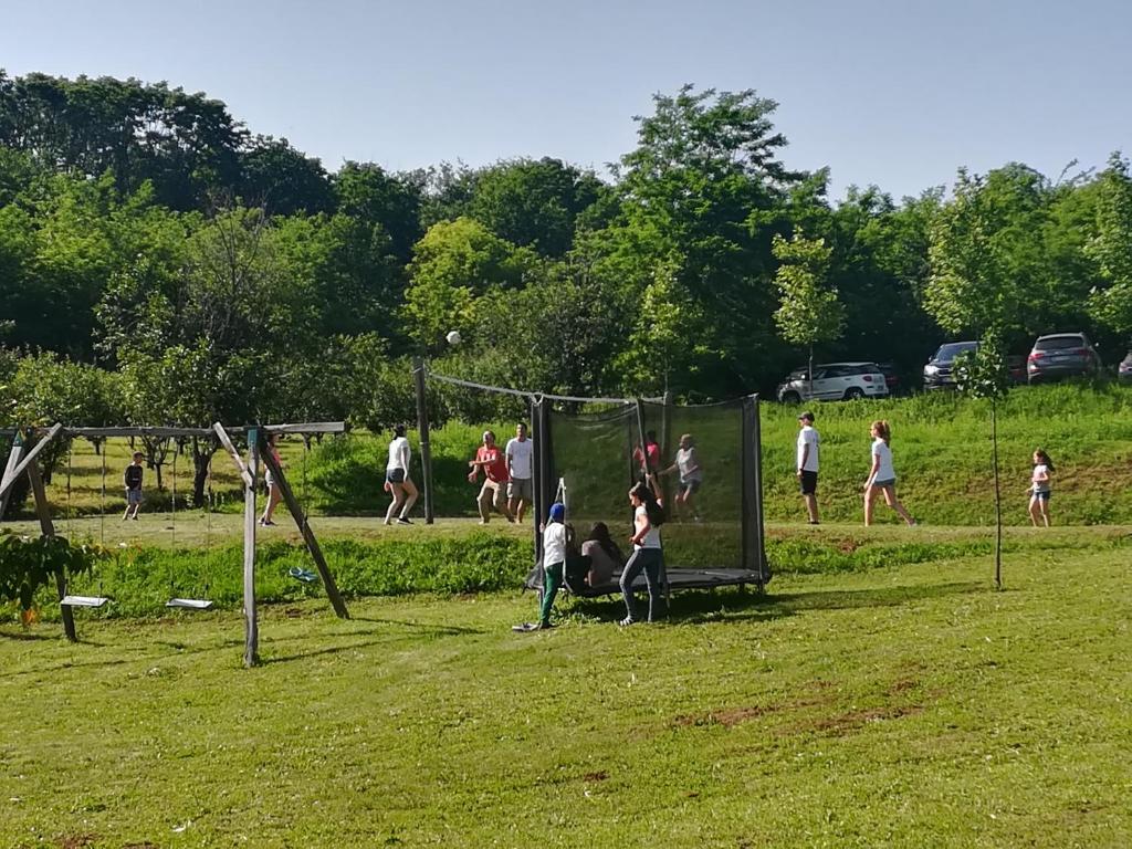 Hosté ubytování Vila Davidovic-Fruska gora