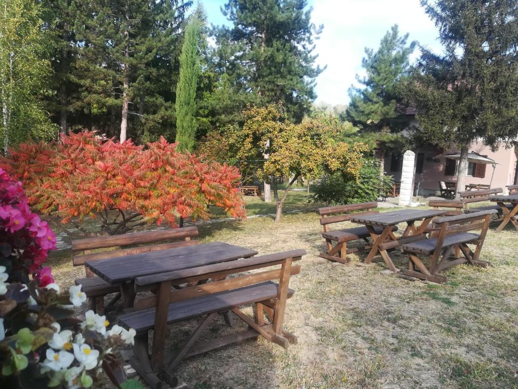Zahrada ubytování Vila Davidovic-Fruska gora