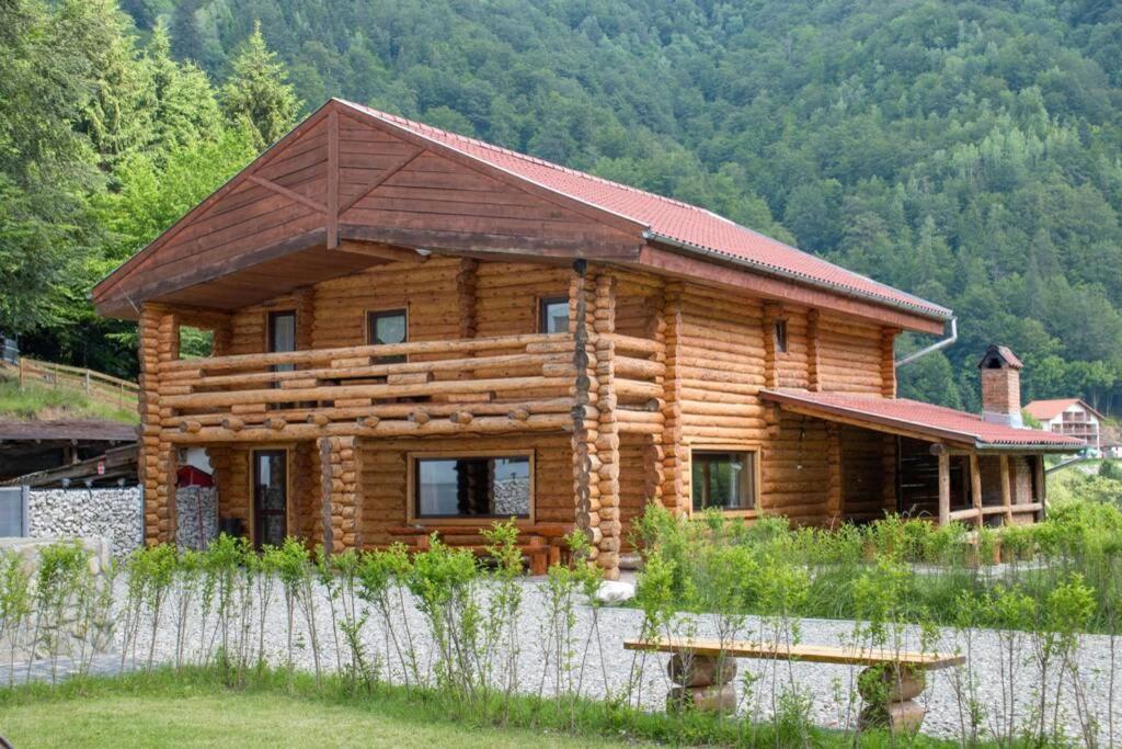 ザルネシュティにあるResort 7 Crai - Cabana Tamasの丸太キャビン(テーブル付)